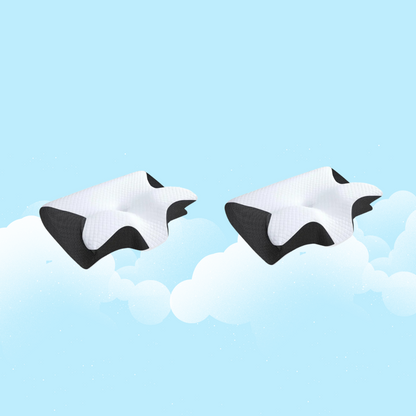 MemoryFoam Orthopedic Support Pillow